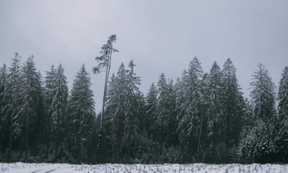 Ardennen